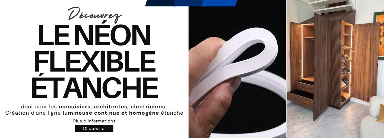 Le Néon flexible étanche